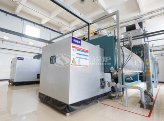 运行于国药一心制药的WNS系列10吨燃气低氮锅炉