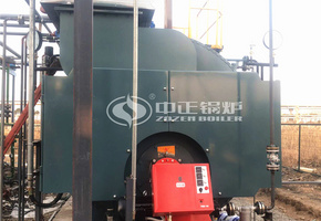 江苏馨瑞香料4吨WNS系列燃油燃气蒸汽锅炉项目