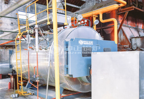 保利化肥4吨WNS系列三回程燃气蒸汽锅炉项目