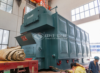 环保生物质锅炉链条炉排锅炉