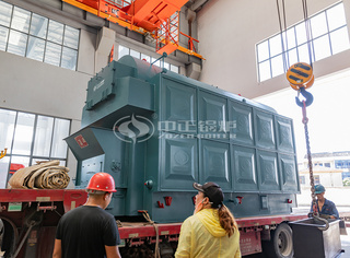 无锡永乐高锅炉是专业的生物质蒸汽锅炉生产厂家