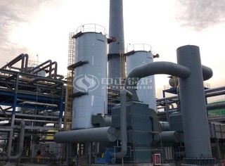 运行于山东东方华龙的立式化工导热油炉