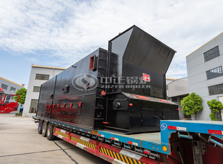 生物质节能环保锅炉