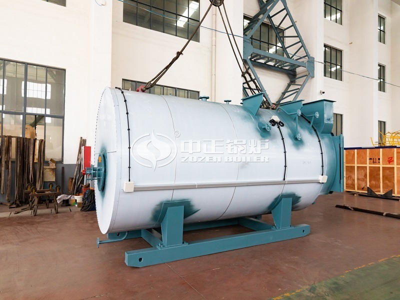 蓝德环保4吨WNS系列燃气蒸汽锅炉项目