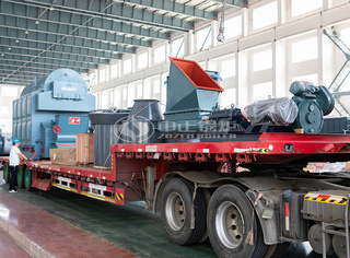 食物厂生物质蒸汽锅炉