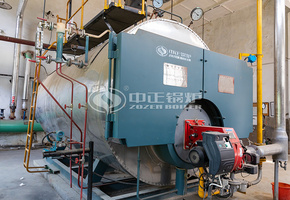 国泰彩印4吨WNS系列燃油燃气三回程冷凝式蒸汽锅炉项目