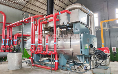 海森药业6吨和10吨环保二回程WNS系列燃气蒸汽锅炉项目