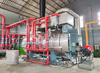 海森药业6吨和10吨环保二回程WNS系列燃气蒸汽锅炉项目