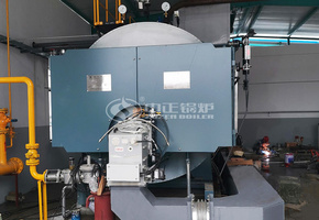 广润新型建材10吨高效WNS系列三回程燃气蒸汽锅炉项目