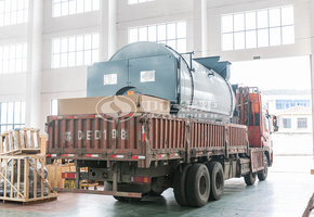 新达纬编厂4吨节能型WNS系列三回程燃气蒸汽锅炉项目