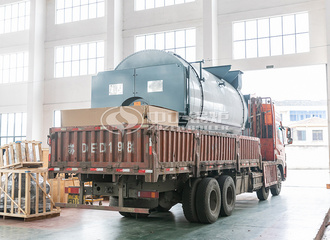 新达纬编厂4吨节能型WNS系列三回程燃气蒸汽锅炉项目