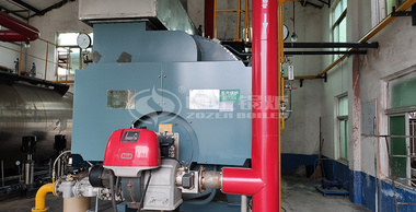 江北药业6吨冷凝式WNS系列燃气蒸汽锅炉项目
