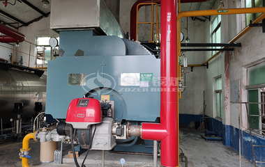 江北药业6吨冷凝式WNS系列燃气蒸汽锅炉项目