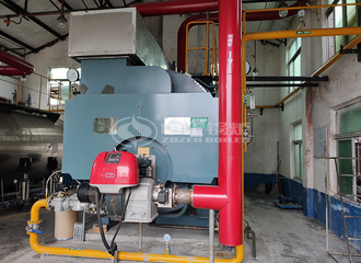 江北药业6吨冷凝式WNS系列燃气蒸汽锅炉项目