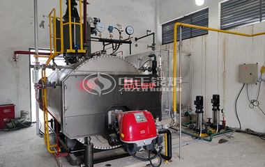 江苏中国科学院1吨定制款WNS系列燃气蒸汽锅炉项目
