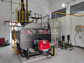 江苏中国科学院1吨定制款WNS系列燃气蒸汽锅炉项目
