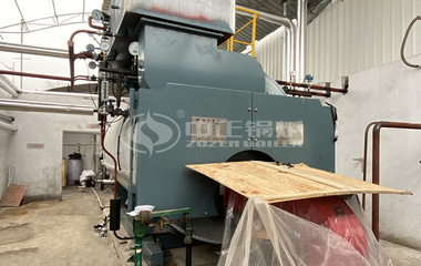 水城矿业4吨高效型WNS系列燃气蒸汽锅炉项目