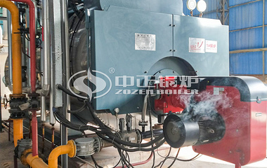 美哲塑胶10吨优质高效WNS系列燃气蒸汽锅炉项目
