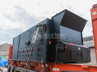 永乐高锅炉15吨DZL系列生物质蒸汽锅炉燃烧装备