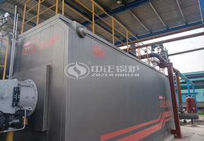 禹王生态15吨SZS系列燃沼气过热蒸汽锅炉项目