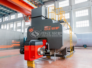 永乐高WNS系列二回程冷凝式燃气锅炉制品示意图