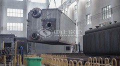 着名工业锅炉品牌永乐高锅炉接待宽大用户前来旅行考察