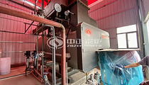 陶杰陶瓷WNS系列4吨冷凝式燃气蒸汽锅炉项目
