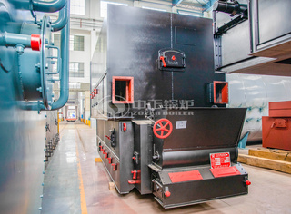 永乐高链条炉排导热油锅炉底座展示