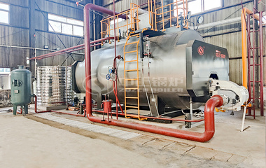 辅仁堂制药WNS系列10吨和6吨燃气蒸汽锅炉项目