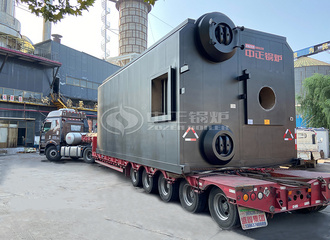 惠源淀粉厂20吨SZS系列燃气蒸汽锅炉项目