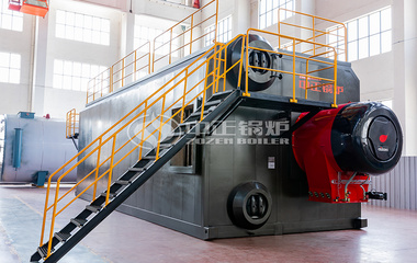 盛达纸业20吨SZS系列冷凝式燃气蒸汽锅炉项目