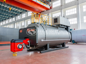 天地药业6吨WNS系列三回程燃气蒸汽锅炉项目