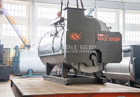 浙江多元纺织10吨燃气蒸汽锅炉项目