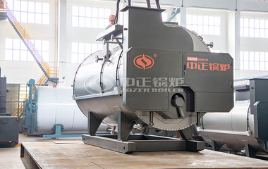浙江多元纺织10吨燃气蒸汽锅炉项目