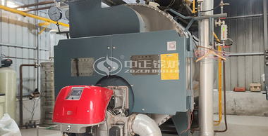 川源食品WNS系列2吨二回程燃气蒸汽锅炉项目