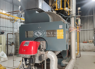 川源食物WNS系列2吨二回程燃气蒸汽锅炉项目