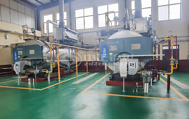 济宁市精神病防治院3吨WNS系列燃气节能蒸汽锅炉项目