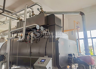 年龄包装6吨WNS系列二回程燃气蒸汽锅炉项目