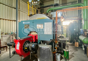 宜兴中建3吨WNS系列环保燃气蒸汽锅炉项目