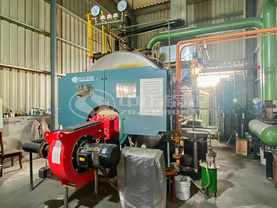 宜兴中建3吨WNS系列环保燃气蒸汽锅炉项目