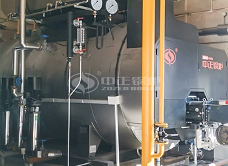 欧福蛋业6吨WNS系列燃气蒸汽锅炉项目