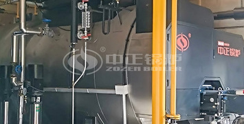打扑克的网站app高品质蒸汽 助推上市公司欧福蛋业高速高质发展