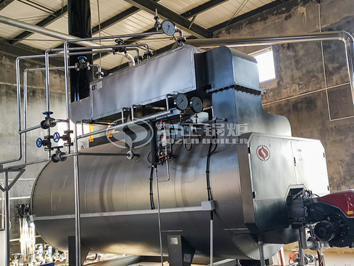 仙坛食品WNS系列6吨燃气蒸汽锅炉项目