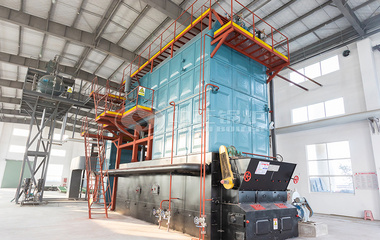 银宝菊花SZL系列15吨燃生物质蒸汽锅炉项目