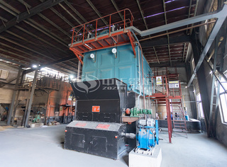 永乐高生物质锅炉可燃用秸秆、碎木片、棕榈壳、稻壳等