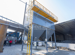 永乐高锅炉合理选配生物质锅炉尾气处置惩罚系统