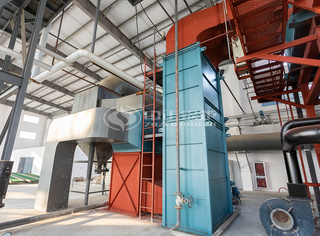 永乐高生物质锅炉辅机选配合理环保达标