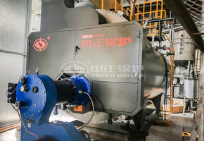 甘汁园糖厂WNS系列4吨燃气蒸汽锅炉项目