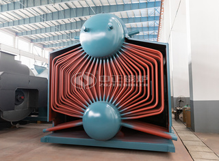 永乐高SZL型生物质锅炉上下锅筒侧面图