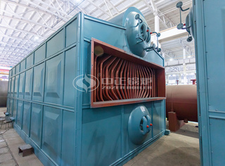 永乐高生物质锅炉品质可靠性能强